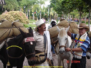 que es monta�ero en colombia,  fotos, imagenes,  fotografias, dibujos,  dibujos, graficos,  monta�ero paisa,  onta�ero antioque�o, monta�ero colombiano,  es un monta�ero en  Medellin, Antioquia, Colombia, como son los monta�eros en Colombia