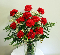 claveles rojos, poema, claveles, rojos, flores. poema, poesia,  claveles,  fotos, imagenes,  fotografias, dibujos,   poesias, versos, romanticos, rimas, poeticos