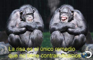 el empuj�n, ense�anzas, moralejas, moraleja picante, moraleja chiste, dichos de moralejas,  fotos, imagen, imagenes, fotograf�as, vistas, pinturas, dibujos,  graficos