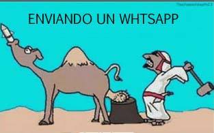  chistes paisas, Chistes pastusos, chiste de temblor, terremoto en Pasto, fotos, imagen, imagenes, fotograf�as, movimiento telurico, chiste, movimiento trepidatorio, temblor en pasto, terremoto pastuso,  dibujos,  graficos colombianos,chistes de pastusos con paisas, la fauna, la flora, richter, alcalde, telegrama, telurico