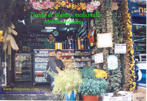 Tiendas exotericas en Medell�n, yerbas medicinales, Productos vegetarianos, P�cimas de amor,, como es medell�n, por dentro, trabajadores informales, fotos, fotografias, imagen, imagenes,
dibujos, vistas, prestamistas, parque Berr�o, gaminnes, comercio informal